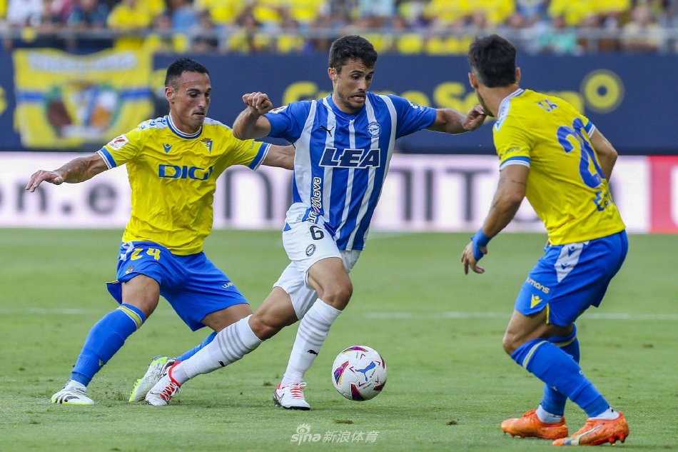 迷的关切 迷的关切